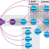 constructing-visual-representation-model-800